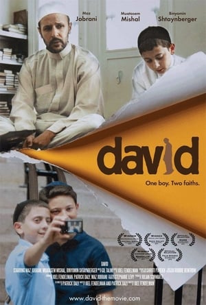 Poster David (2011)