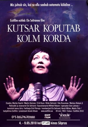 Poster Kutsar koputab kolm korda 2010