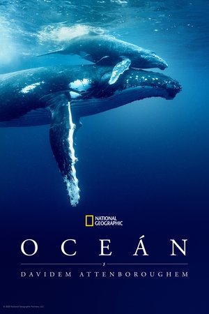 poster Ocean with David Attenborough
