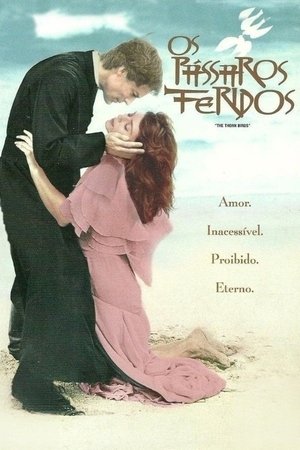 Image Pássaros Feridos
