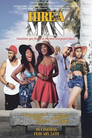 Poster Hire A Man (2016)