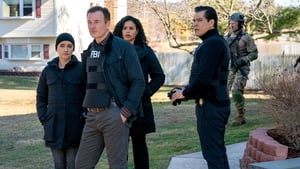 FBI: Most Wanted: 1×13 online