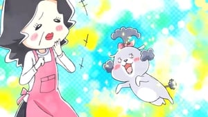 Inu to Neko Docchi mo Katteru to Mainichi Tanoshii: 1×1