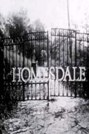 Poster Homesdale 1971