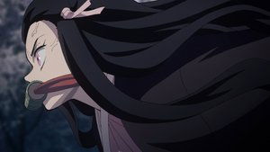 Kimetsu no Yaiba: 1 Staffel 9 Folge