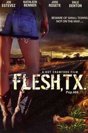 Flesh, TX poster