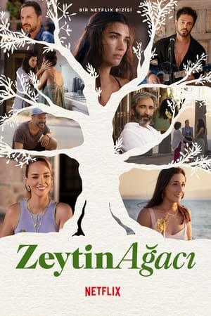 Image Zeytin Ağacı