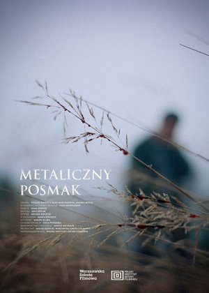 Image Metaliczny posmak