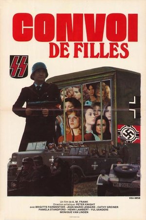 Poster Convoi de filles 1978