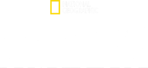 Expedition Amelia