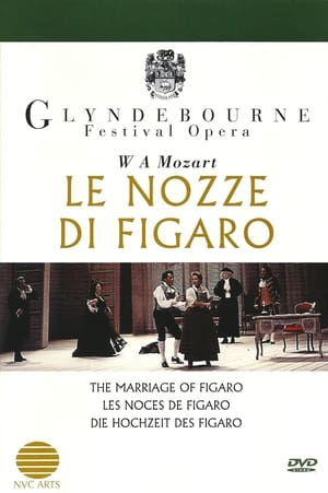 Poster Le nozze di Figaro 1994