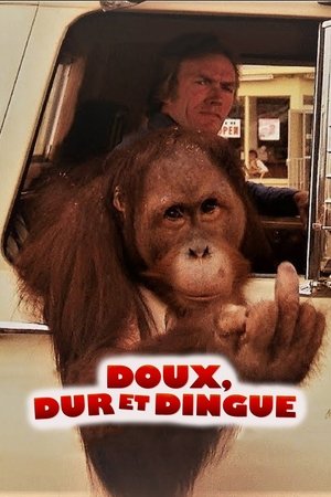 Doux, Dur Et Dingue - Every Which Way But Loose - 1978 Doux, Dur Et Dingue - Every Which Way But Loose - 1978