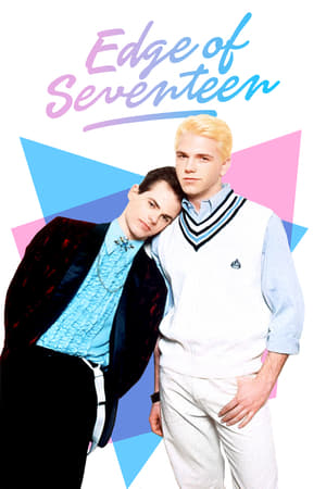 Edge of Seventeen poster