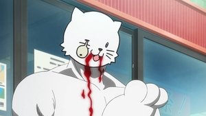 Gintama Season 7 Episode 23