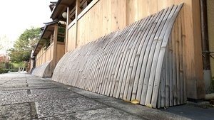 Japanology Plus: 8×25