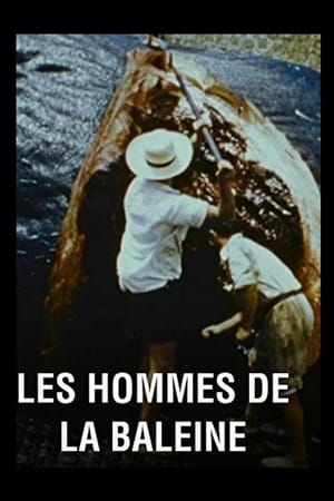 Les hommes de la baleine poster