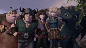 Dragons: Race to the Edge Twintuition