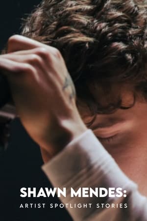 Image Shawn Mendes: Artist Spotlight Stories