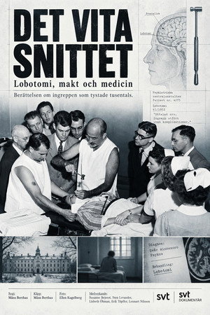 Det vita snittet