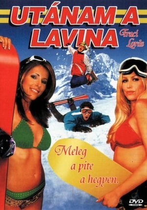 Poster Utánam a lavina 2005