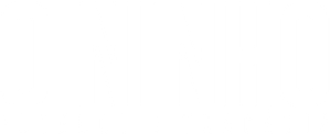 O Ninho: Futebol e Tragédia