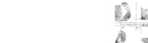 Shadow Detective — Logos 10