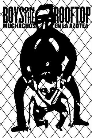 Poster Muchachos en la azotea 2016