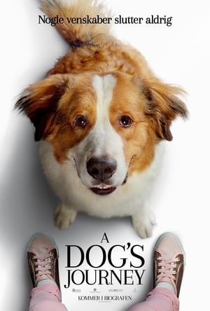 A Dog's Journey (2019)