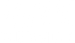 The Naval Commandos