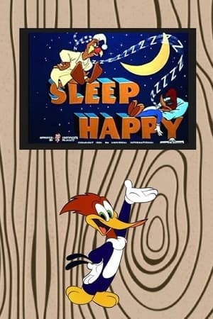 Sleep Happy poster