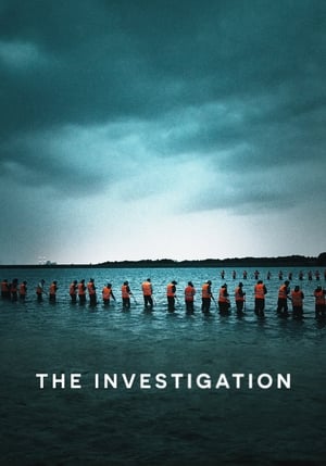 Image The Investigation