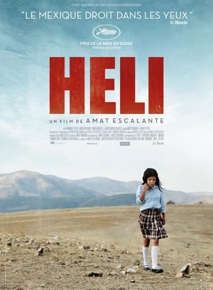 Poster Heli 2013