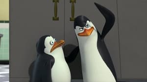 The Penguins of Madagascar It's About Time