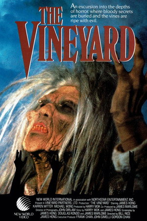 The Vineyard 27