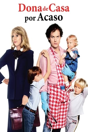 Image Mr. Mom