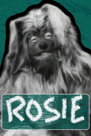 Poster Rosie (1960)