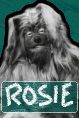 Rosie poster