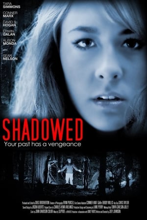 Poster Shadowed (2013)