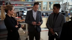 Elementary: Stagione 7 x Episodio 7