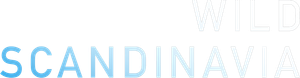 Wild Scandinavia