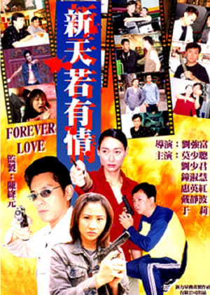 Poster 新天若有情 2001