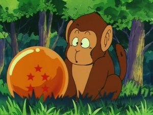Go to the next episode Dragon Ball 2x5 online View The Legend of a Dragon Online Dragon Ball 2x5 online hd video quality