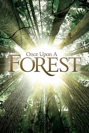 Poster Once Upon a Forest (2013)