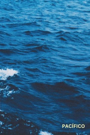 Nonton film Pacific (2024) terbaru sub indo Nonton film Pacific (2024) terbaru sub indo