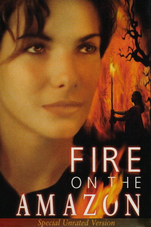 Fire on the Amazon