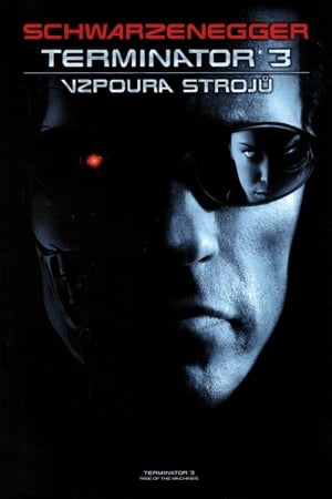 Poster Terminátor 3: Vzpoura strojů 2003