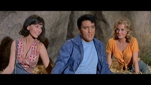 คิซซิน คัสซิน (1964) Kissin’ Cousins : Elvis Presley