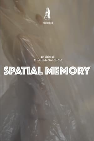 Image Spatial Memory