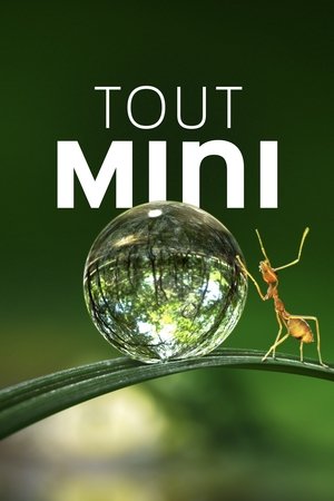 Tiny World movie poster