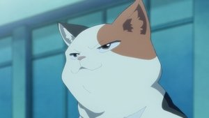 Épisode 24